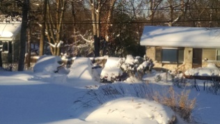 snowmageddon2016----here-comes-the-sun_24473093862_o